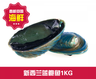 【直发回国】新西兰蓝鲍1KG 【直发回国】新西兰蓝鲍1KG